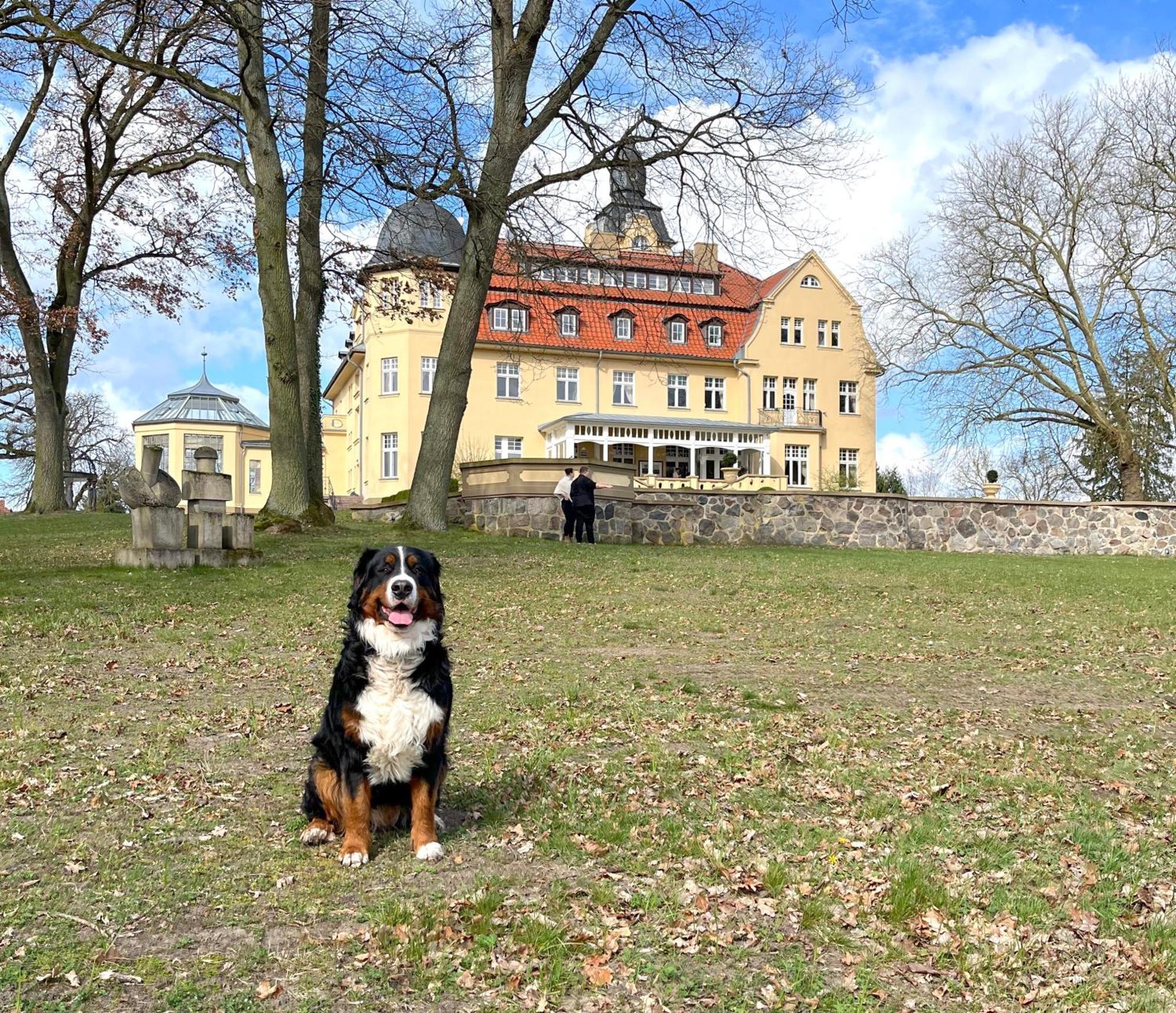 Bernsteinschloss Wendorf  المظهر الخارجي الصورة